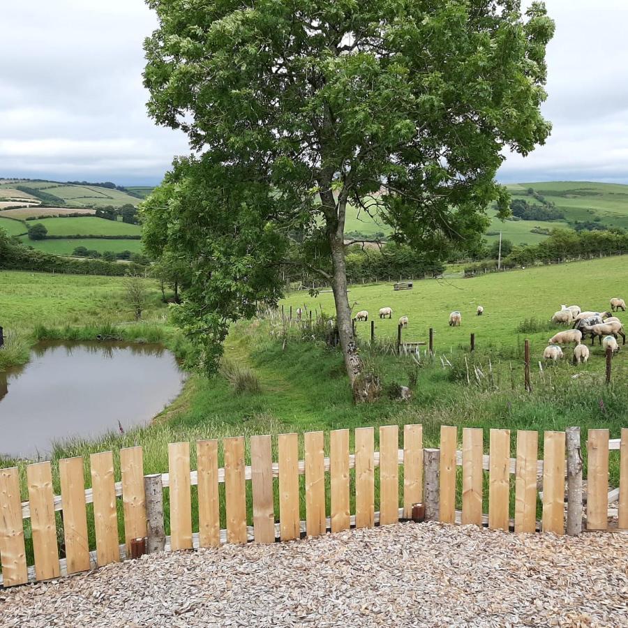 Eco Accommodation Cornflower Craven Arms Exterior foto