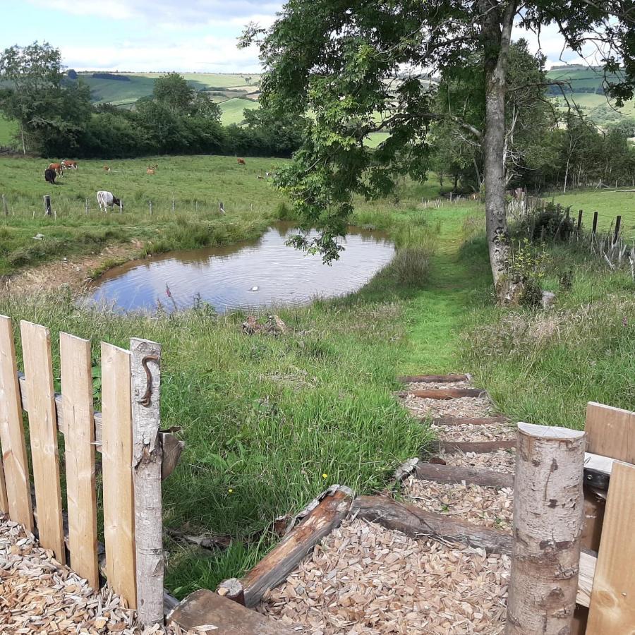 Eco Accommodation Cornflower Craven Arms Exterior foto