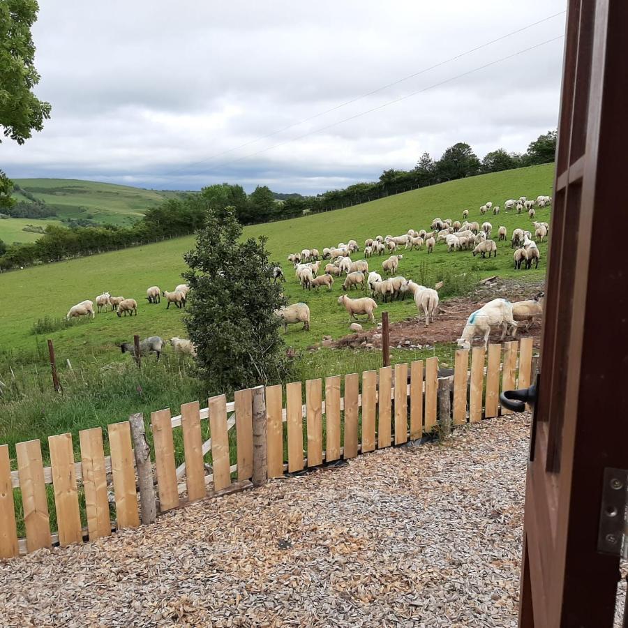 Eco Accommodation Cornflower Craven Arms Exterior foto