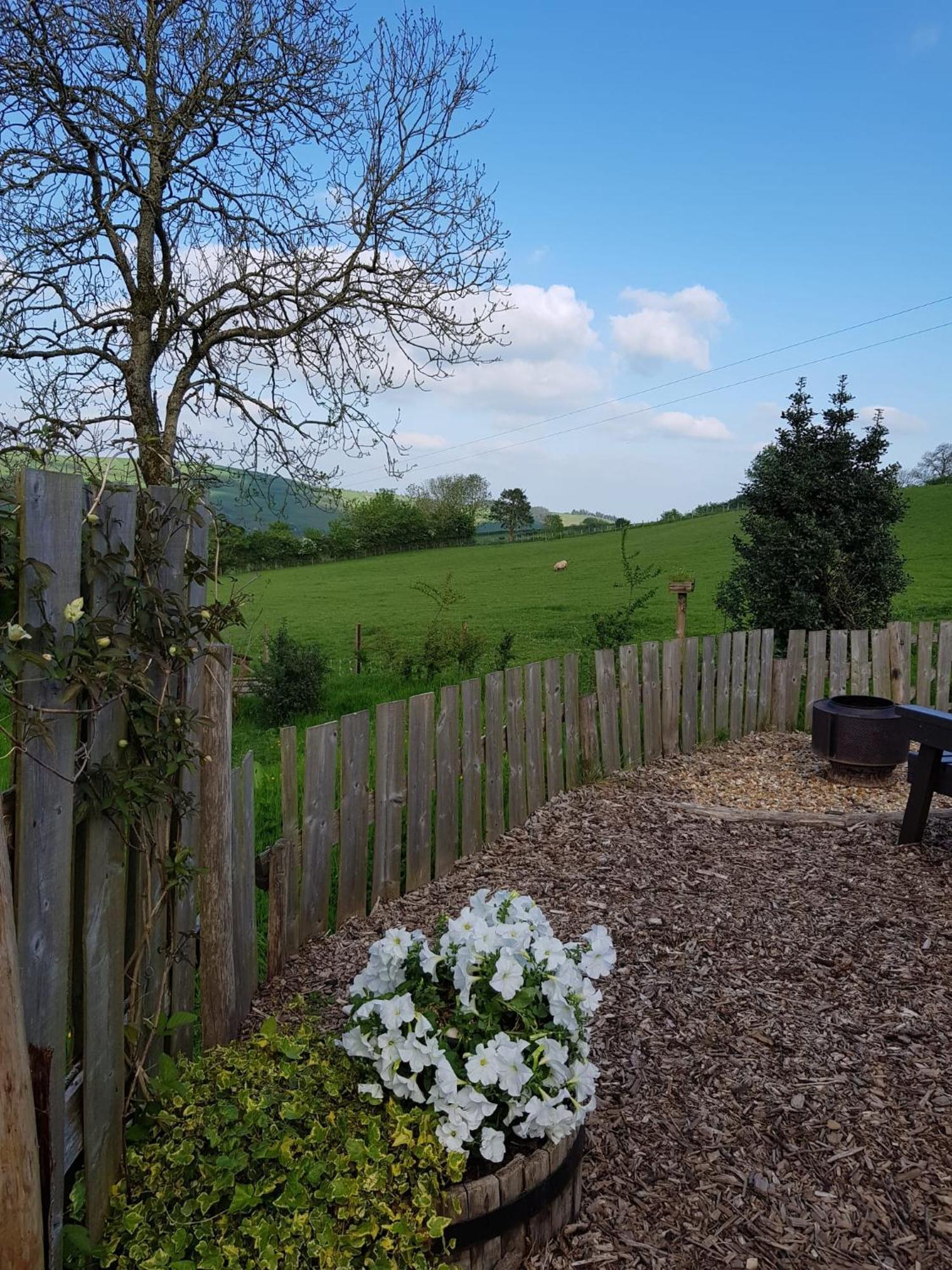 Eco Accommodation Cornflower Craven Arms Exterior foto